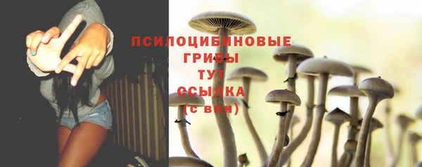 мяу мяу мука Балабаново