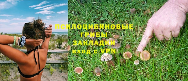 мяу мяу мука Балабаново